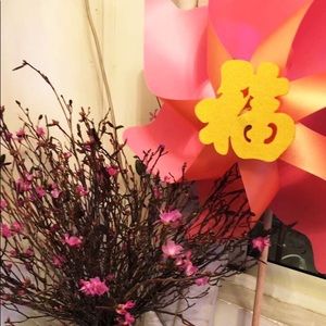 Meet your Posher Lisa